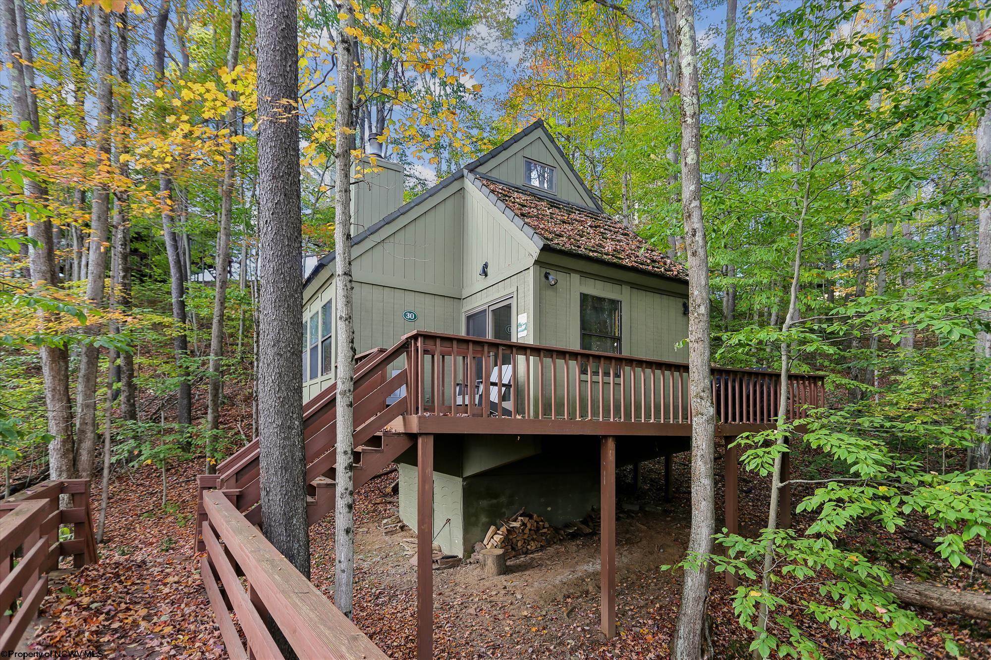 30 Yogi Court Davis WV 26260