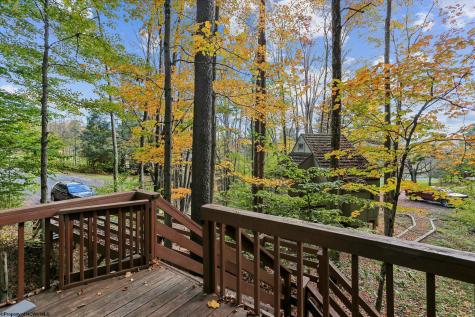 30 Yogi Court Davis WV 26260