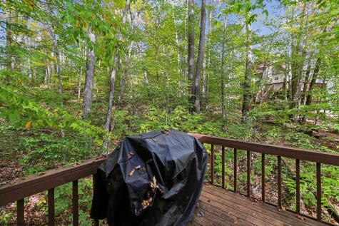 30 Yogi Court Davis WV 26260