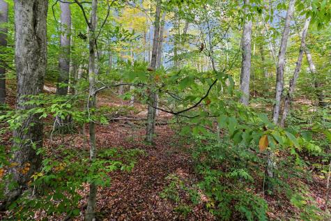 30 Yogi Court Davis WV 26260