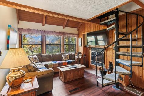 30 Yogi Court Davis WV 26260