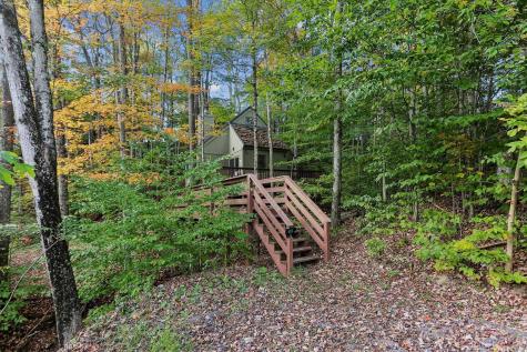 30 Yogi Court Davis WV 26260