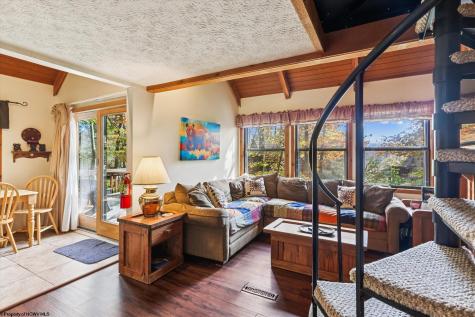 30 Yogi Court Davis WV 26260