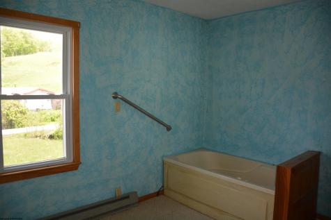 45 Springdale Street Grafton WV 26354