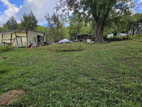 3445 Webster Pike Grafton WV 26354