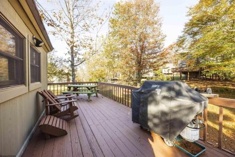 77 Honey Pot Lane Davis WV 26260