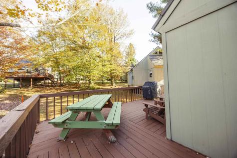 77 Honey Pot Lane Davis WV 26260