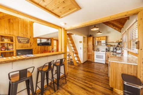77 Honey Pot Lane Davis WV 26260