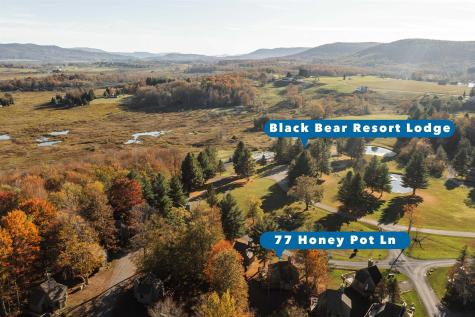 77 Honey Pot Lane Davis WV 26260