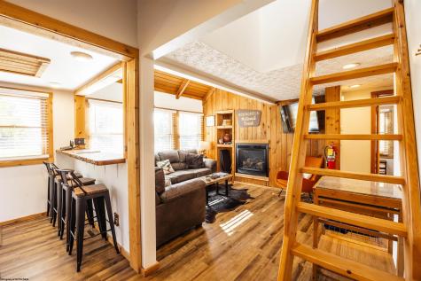 77 Honey Pot Lane Davis WV 26260