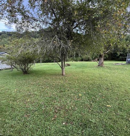 242 Bruce Street Elkins WV 26241