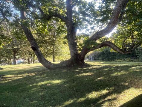 1758 Valley Chapel Road Weston WV 26452