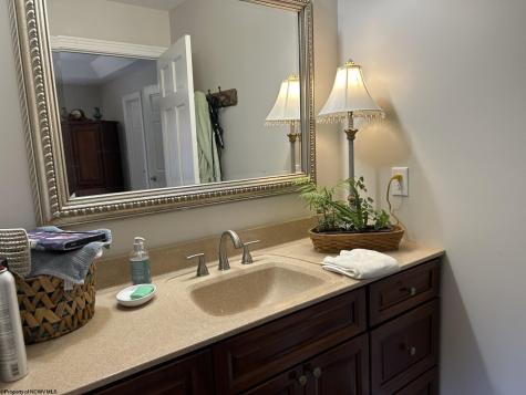 78 Moccasin Rocks Road Bruceton Mills WV 26525