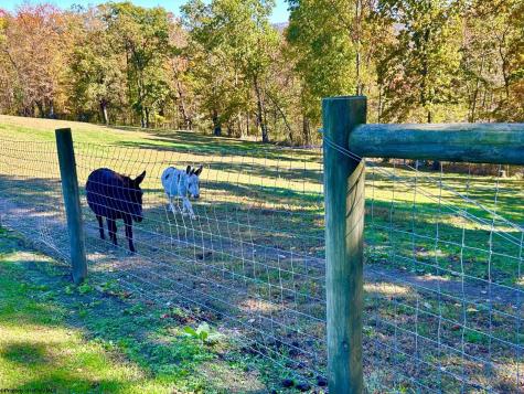 78 Moccasin Rocks Road Bruceton Mills WV 26525