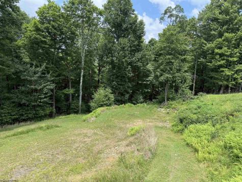 184 Woodstone Lane Parsons WV 26287-0000