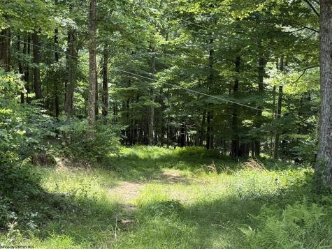 184 Woodstone Lane Parsons WV 26287-0000