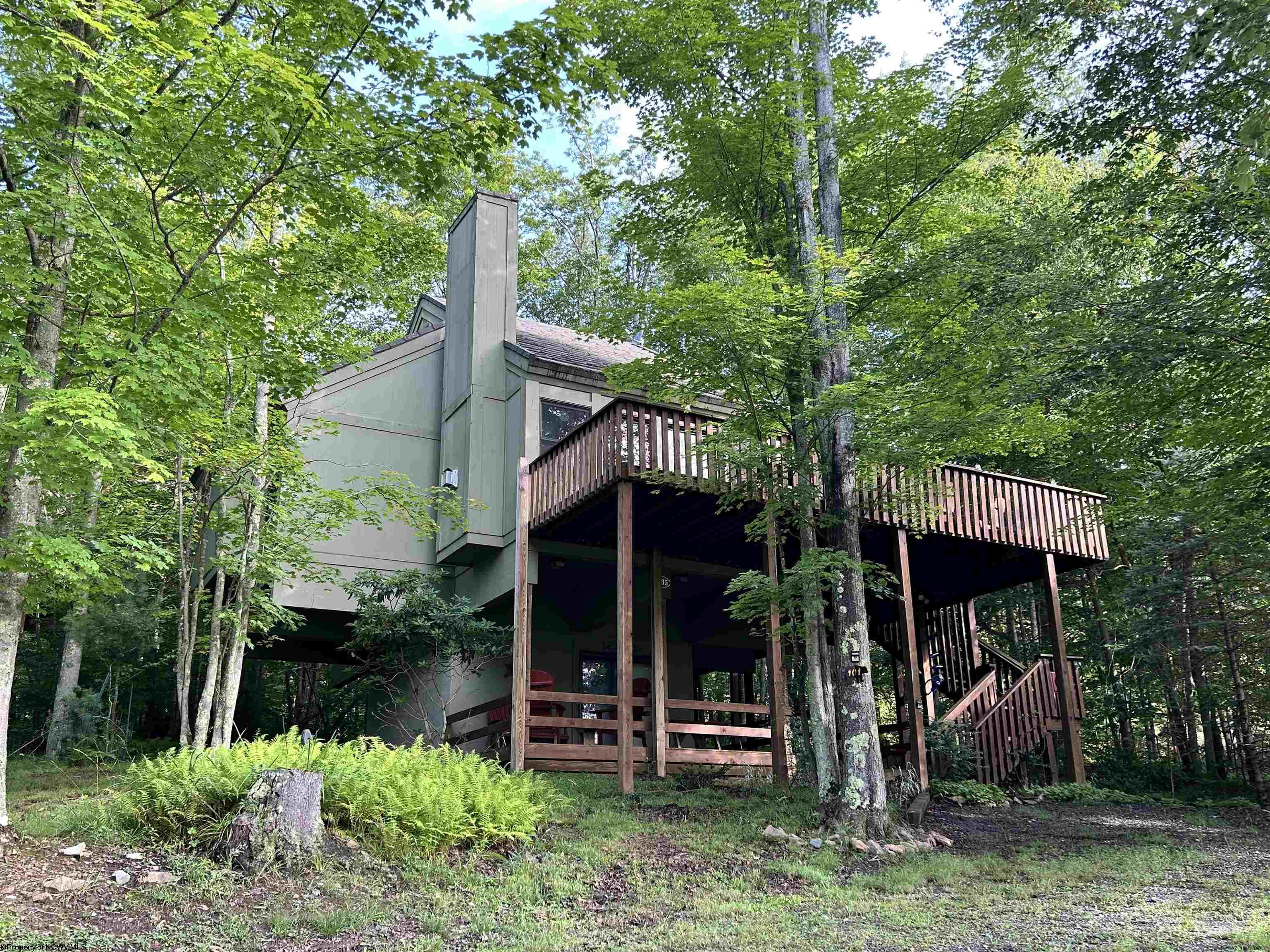 185 Tree Top Lane Davis WV 26260