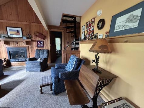 185 Tree Top Lane Davis WV 26260