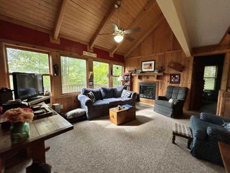 185 Tree Top Lane Davis WV 26260