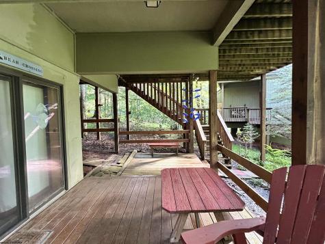 185 Tree Top Lane Davis WV 26260