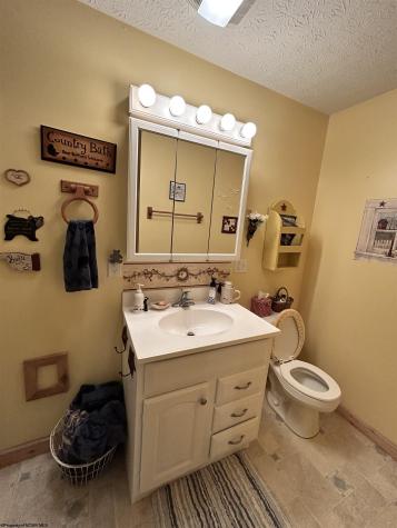 185 Tree Top Lane Davis WV 26260