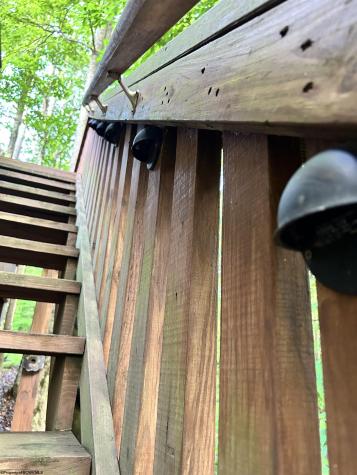 185 Tree Top Lane Davis WV 26260