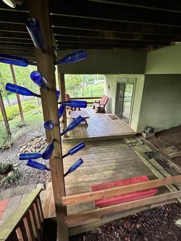 185 Tree Top Lane Davis WV 26260