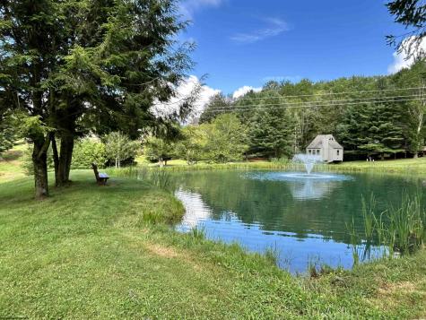 185 Tree Top Lane Davis WV 26260