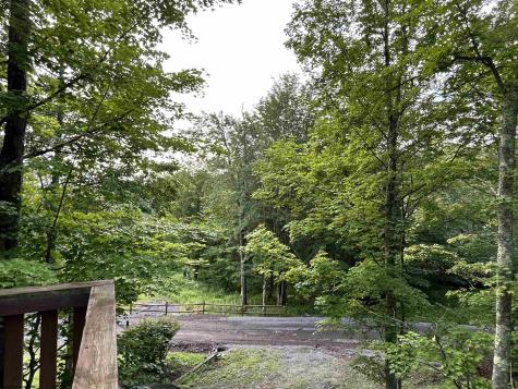 185 Tree Top Lane Davis WV 26260