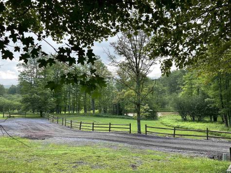 185 Tree Top Lane Davis WV 26260