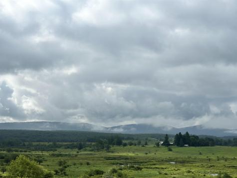 185 Tree Top Lane Davis WV 26260