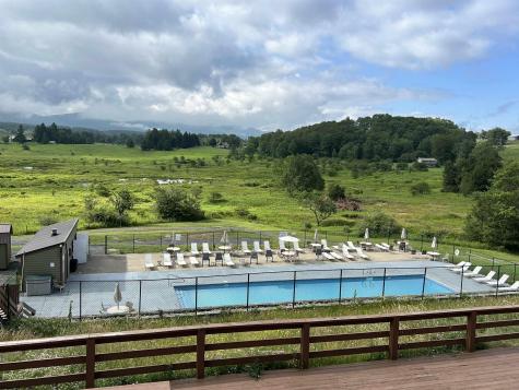 185 Tree Top Lane Davis WV 26260