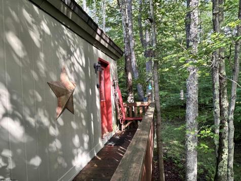 185 Tree Top Lane Davis WV 26260