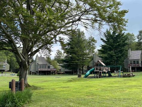 185 Tree Top Lane Davis WV 26260