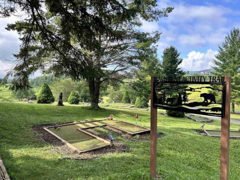 185 Tree Top Lane Davis WV 26260