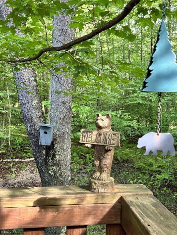 185 Tree Top Lane Davis WV 26260