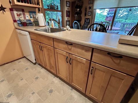 185 Tree Top Lane Davis WV 26260