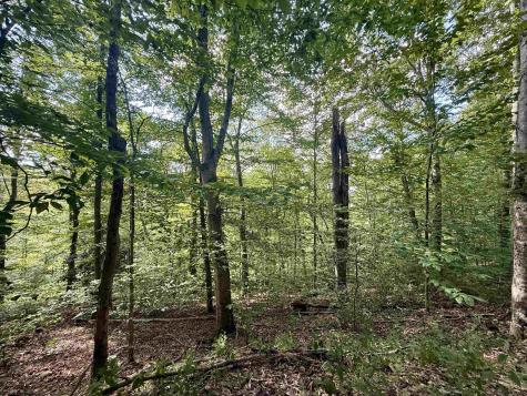 883 Slab Camp Road French Creek WV 26218