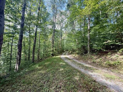 883 Slab Camp Road French Creek WV 26218