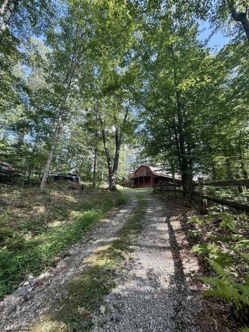 883 Slab Camp Road French Creek WV 26218