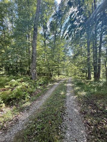 883 Slab Camp Road French Creek WV 26218