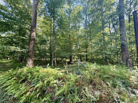 883 Slab Camp Road French Creek WV 26218