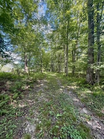 883 Slab Camp Road French Creek WV 26218