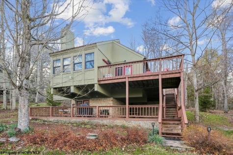 213 Treetop Lane Davis WV 26260