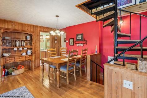 213 Treetop Lane Davis WV 26260
