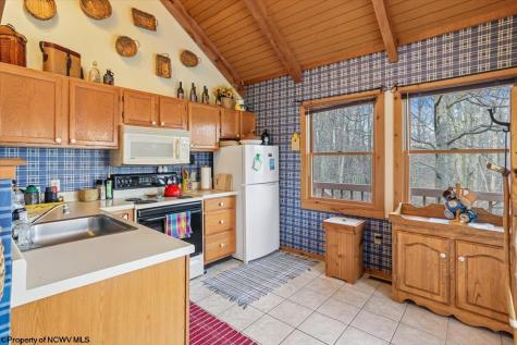213 Treetop Lane Davis WV 26260