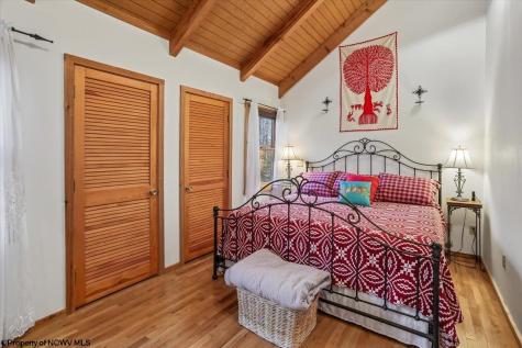 213 Treetop Lane Davis WV 26260