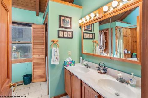 213 Treetop Lane Davis WV 26260