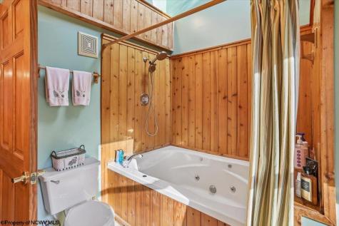 213 Treetop Lane Davis WV 26260