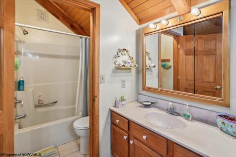 213 Treetop Lane Davis WV 26260